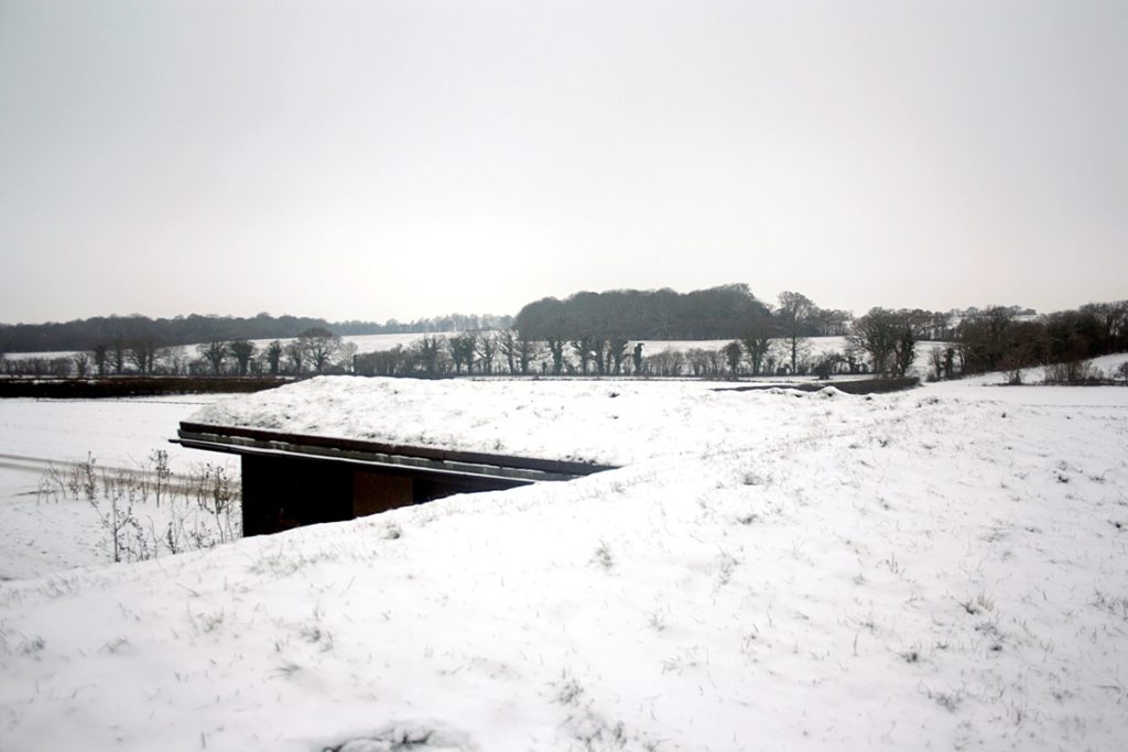 Wildflower Green stable roof in snow