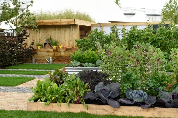 Health For Life Community Garden designed by Owen Morgan