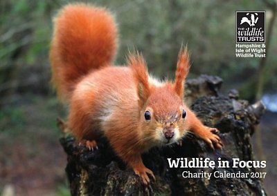 2017-wildlife-in-focus-charity-calendar-hampshire